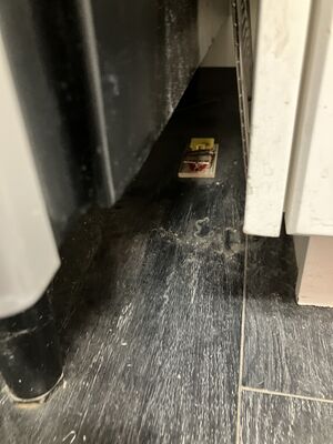 On the floor - to the right of the snack machine, along the counter wall